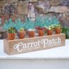 Carrot Patch Display Box