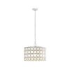 4-Light Glass Drum Shade Chandelier